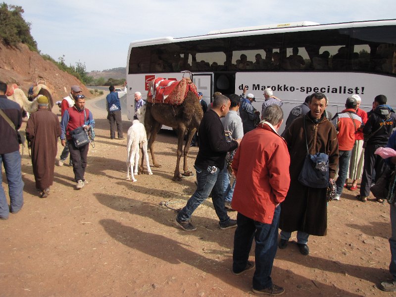 180312_verkopers ourika vallei.jpg - Da's lachen! Zoals gezegd stoppen we onderweg een aantal keren voor het maken van foto's. Vanaf de eerste stop worden we dan ook achtervolgd door handelaren op brommertjes die hun waren willen verkopen. Kijk je tijdens de rit naar achteren dan zie je een hele sliert brommertjes die achter de bus aanzitten.